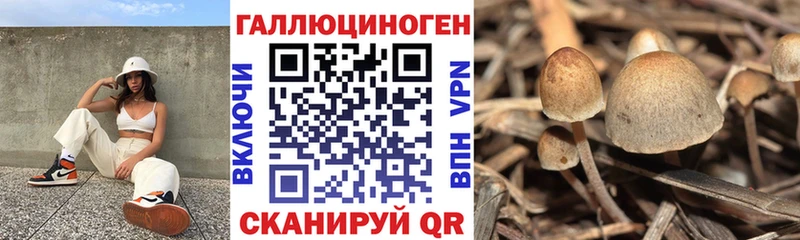 Галлюциногенные грибы мухоморы  Каргополь 